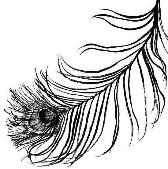 Перо павлина эскиз