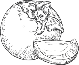 Хурма раскраска