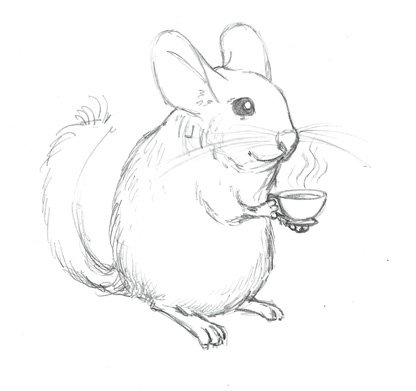 Шиншилла рисунок сбоку