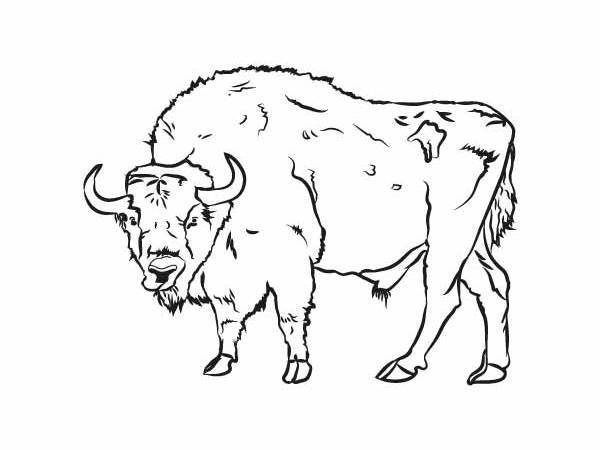 ЗУБР для раскрашивания