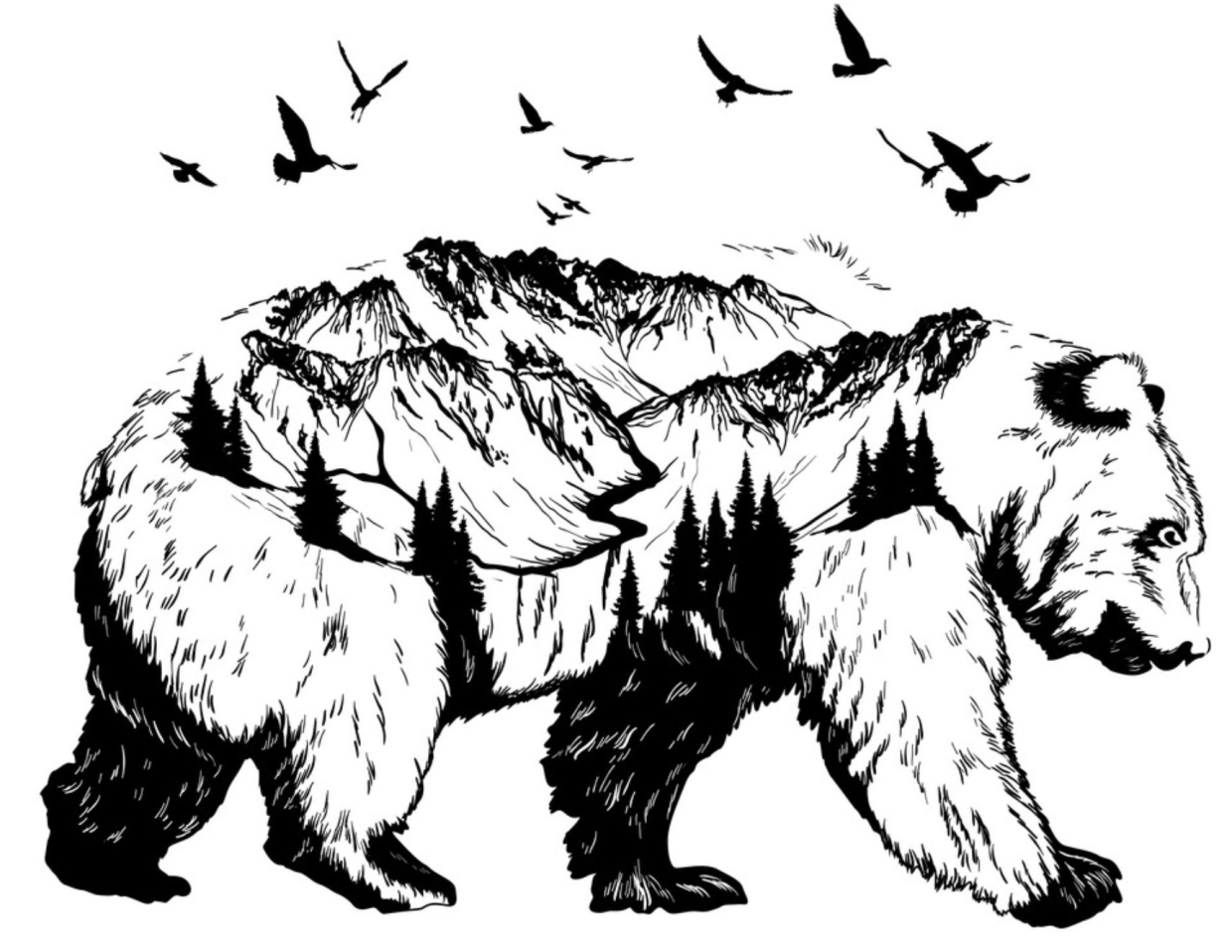 Медведь черно белая Графика