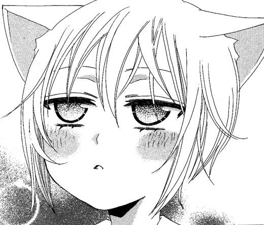 Томоэ черно белый