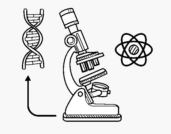 Биология раскраска для детей