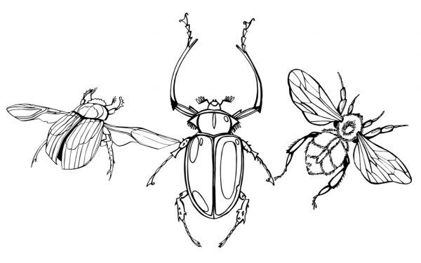 Стилизованный Майский Жук