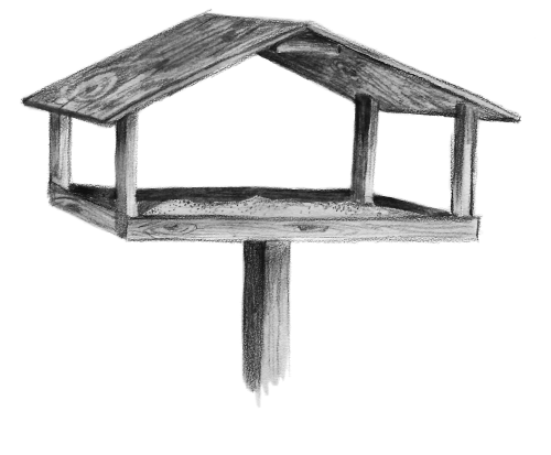 Птичка в кормушке раскраска