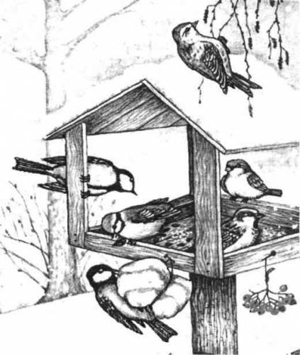 Кормушка и скворечник раскраска