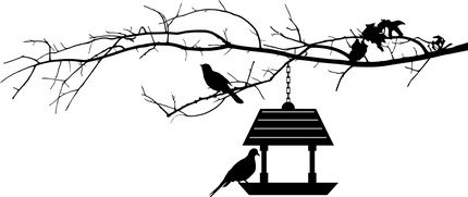 Кормушка для птиц раскраска