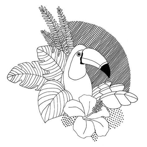 Тукан силуэт