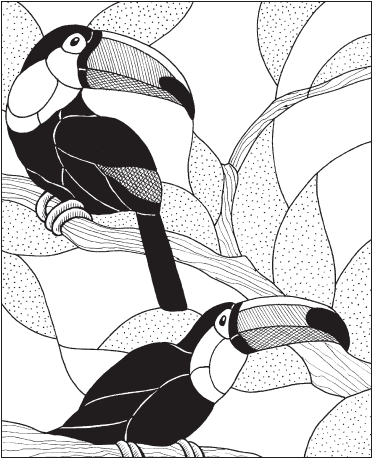 Тукан эскиз