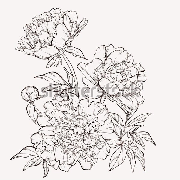 Эскизы для батика цветы пионы