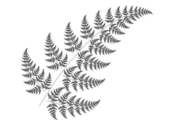 Щитовник контур