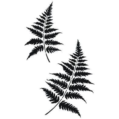 Папоротник эскиз