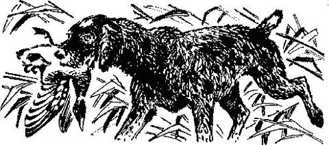 Трафареты со сценами охоты