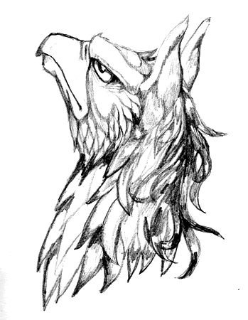 Грифон черно белый