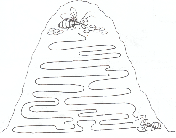 Муравейник в разрезе