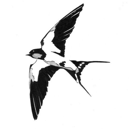 Ласточка Графика