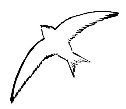 Нарисовать стрижа