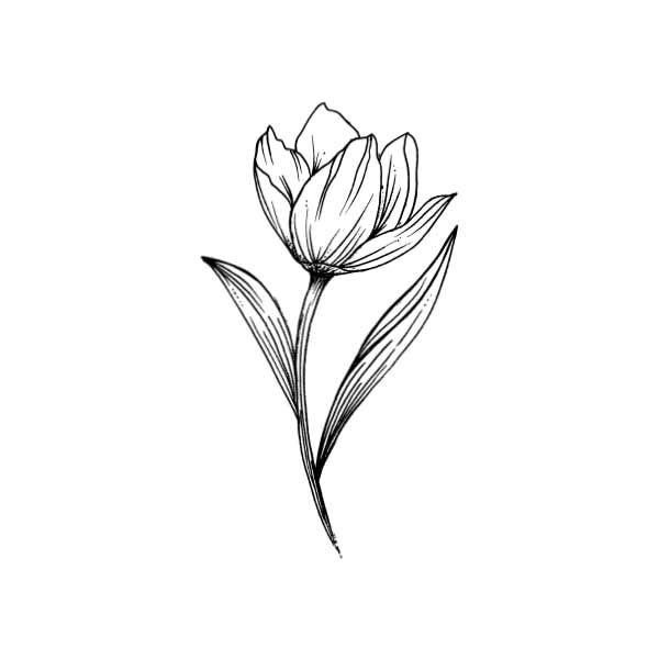 Тюльпан эскиз тату