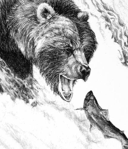 Медведь эскиз для выжигания