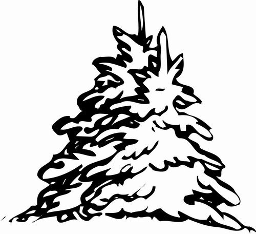 Ель на прозрачном фоне