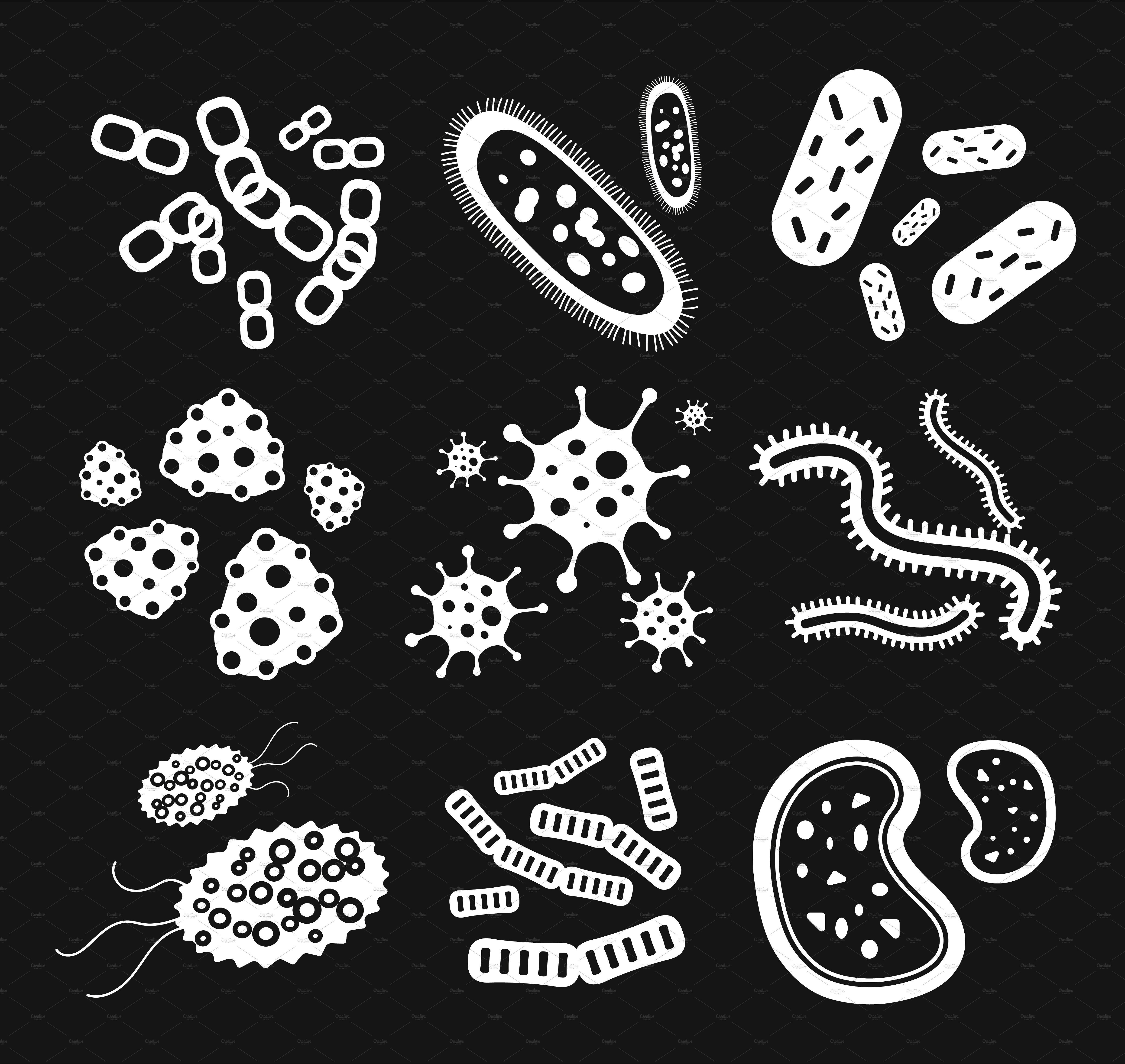 Бактерии чб