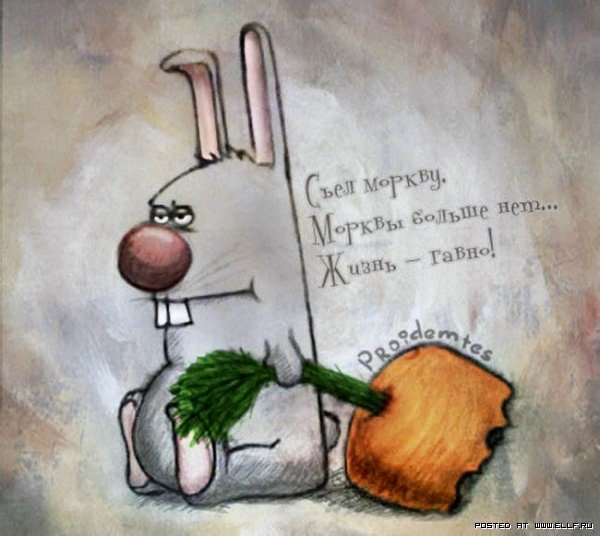 Прикольные рисунки с надписями