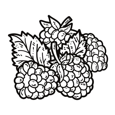 Ежевика вектор черно белый