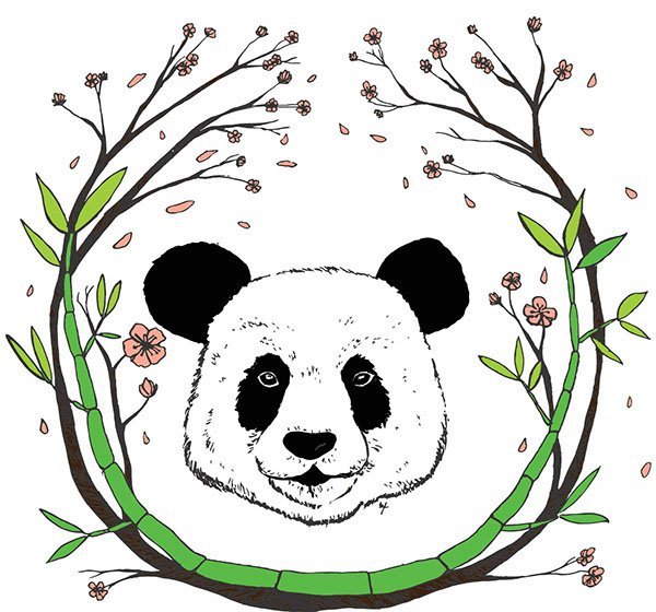Панда с бамбуком рисунок