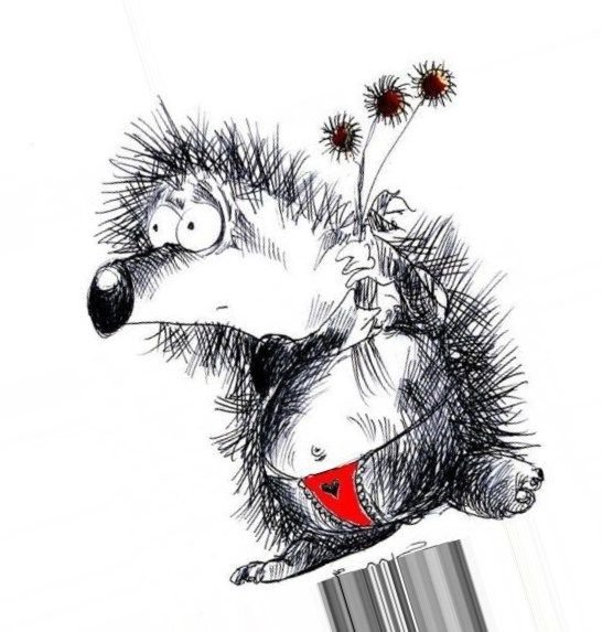 Прикольный Ежик