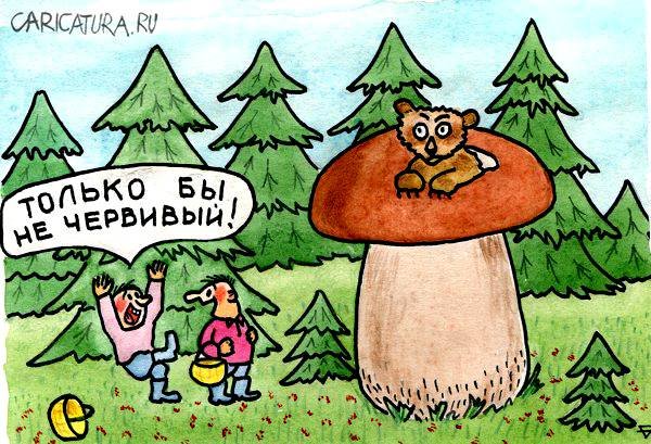 Грибы карикатура