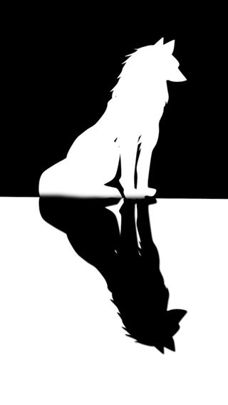 Рисунок резкий контраст чёрного и белого