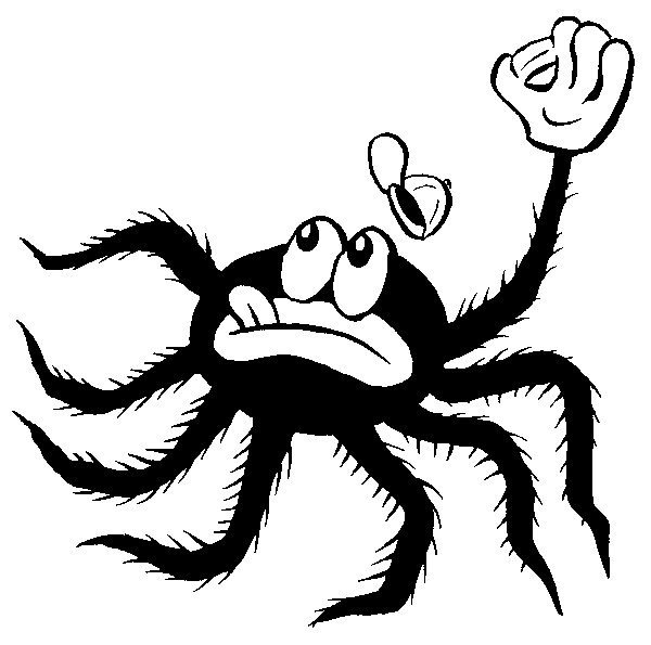 Веселый паучок