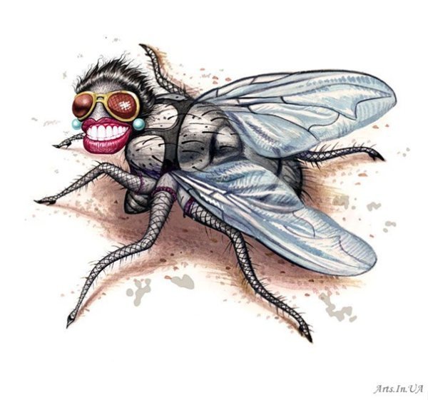 Муха рисунок