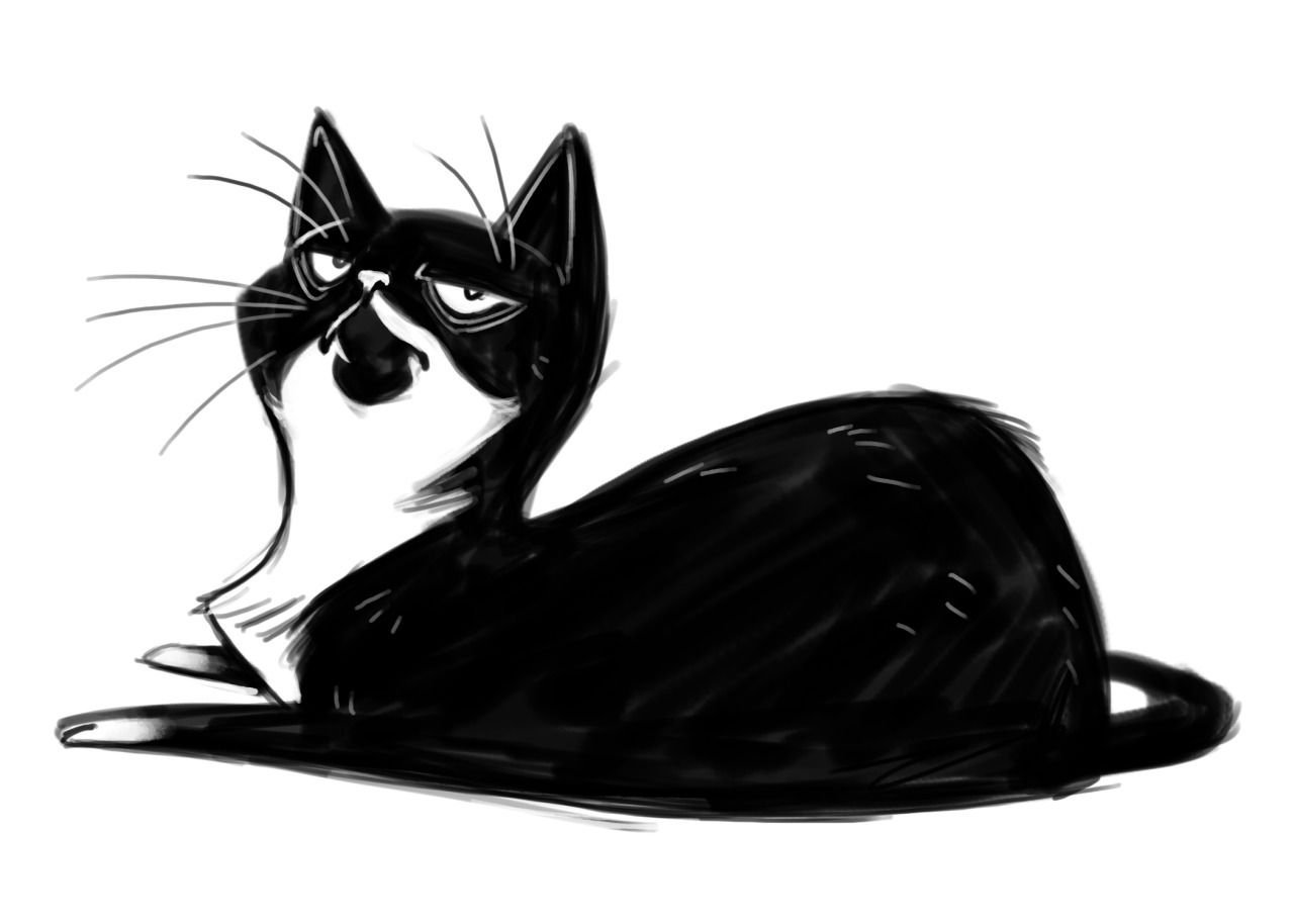 Рисованные черные котики