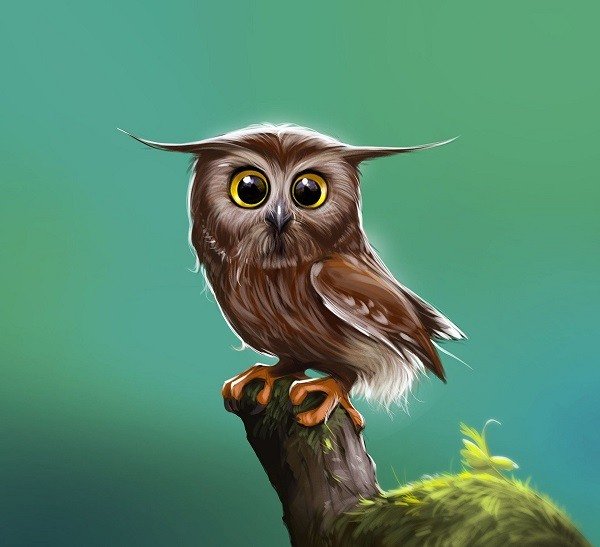 Зеленая Сова