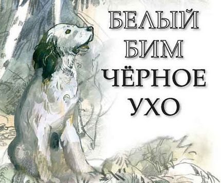 Белый Бим черное ухо иллюстрации к книге