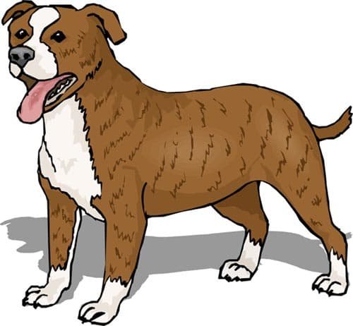 Собака рисунок для детей