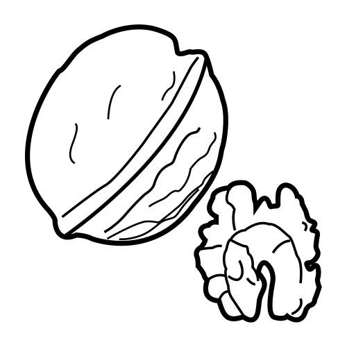 Орех для раскрашивания