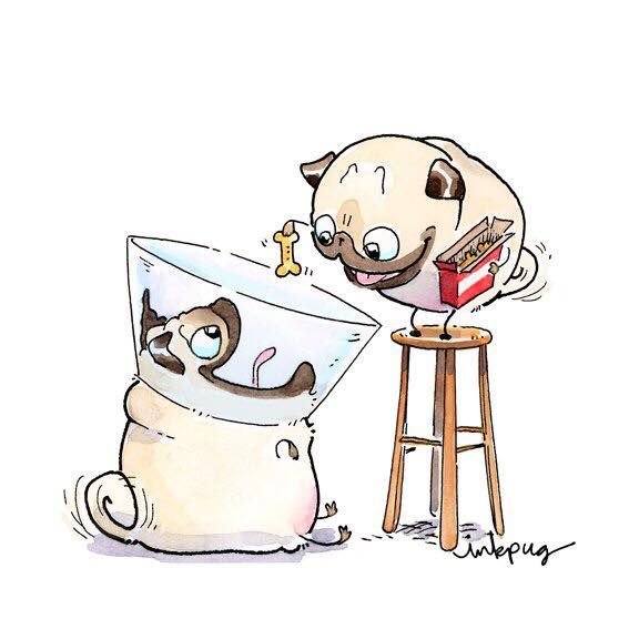 Inkpug весёлые мопсы