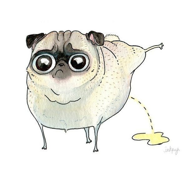 Мопсы рисунки смешные