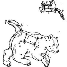 Раскраска Созвездие большой и малой медведицы