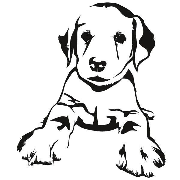 Щенок эскиз