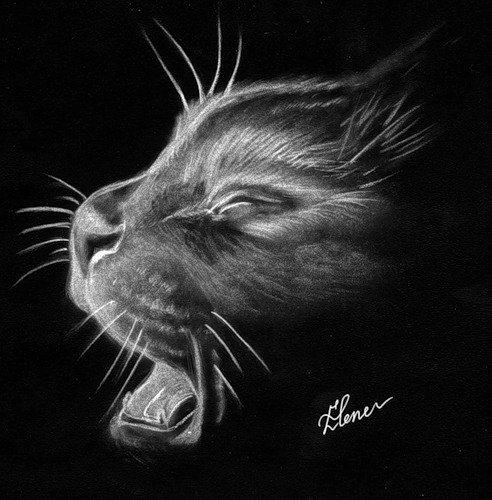 Кот пастелью на черной бумаге