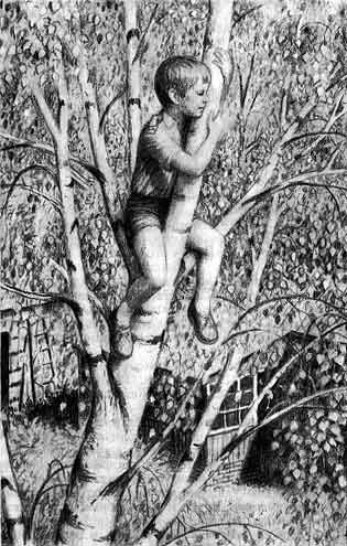 Нина Артюхова большая береза