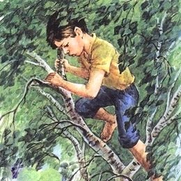 Артюхова большая береза