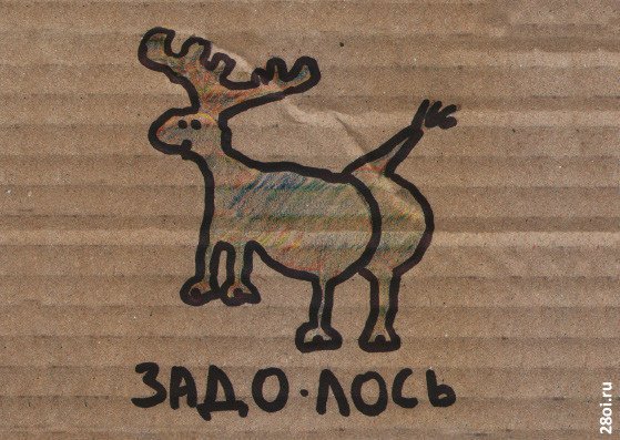 Лось прикол