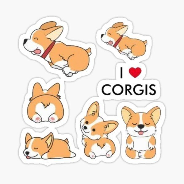 Корги сзади рисунок