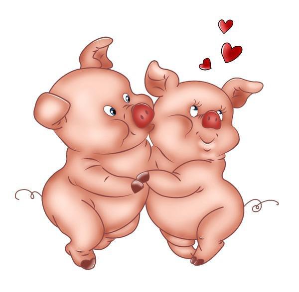 Влюбленный поросенок