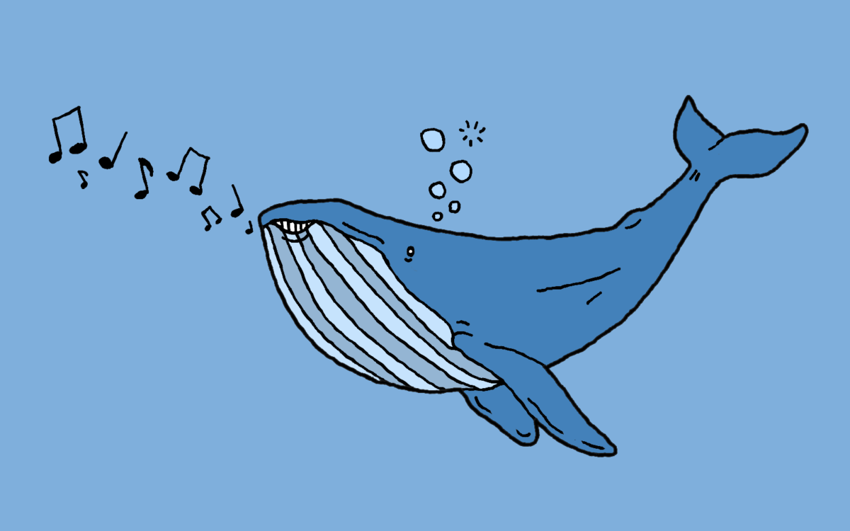 Кит поет. Кит рисунок. Веселый кит. Пение кита.