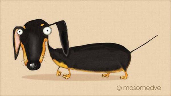 Смешная такса рисунок рисунок